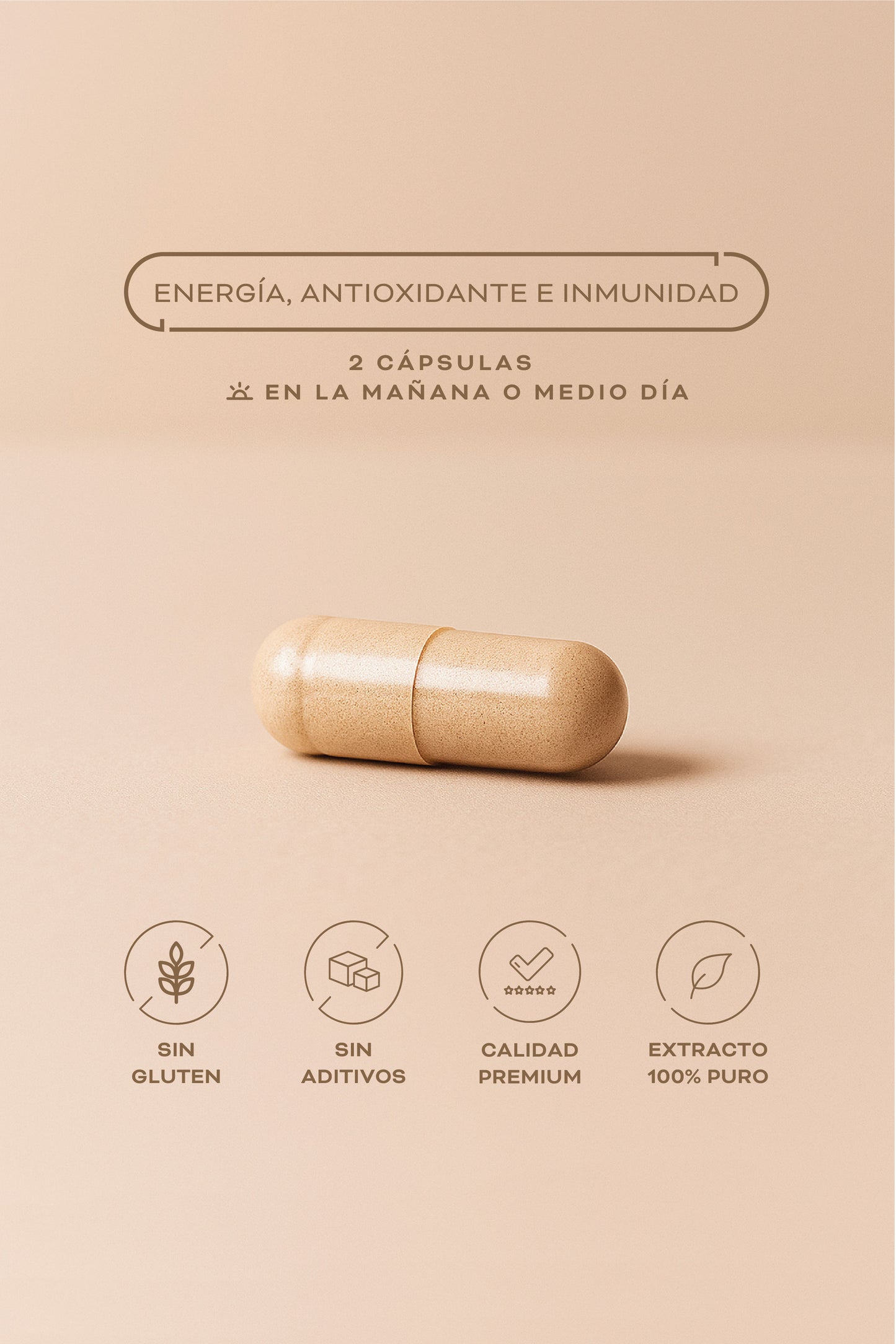 Cordyceps Extracto
