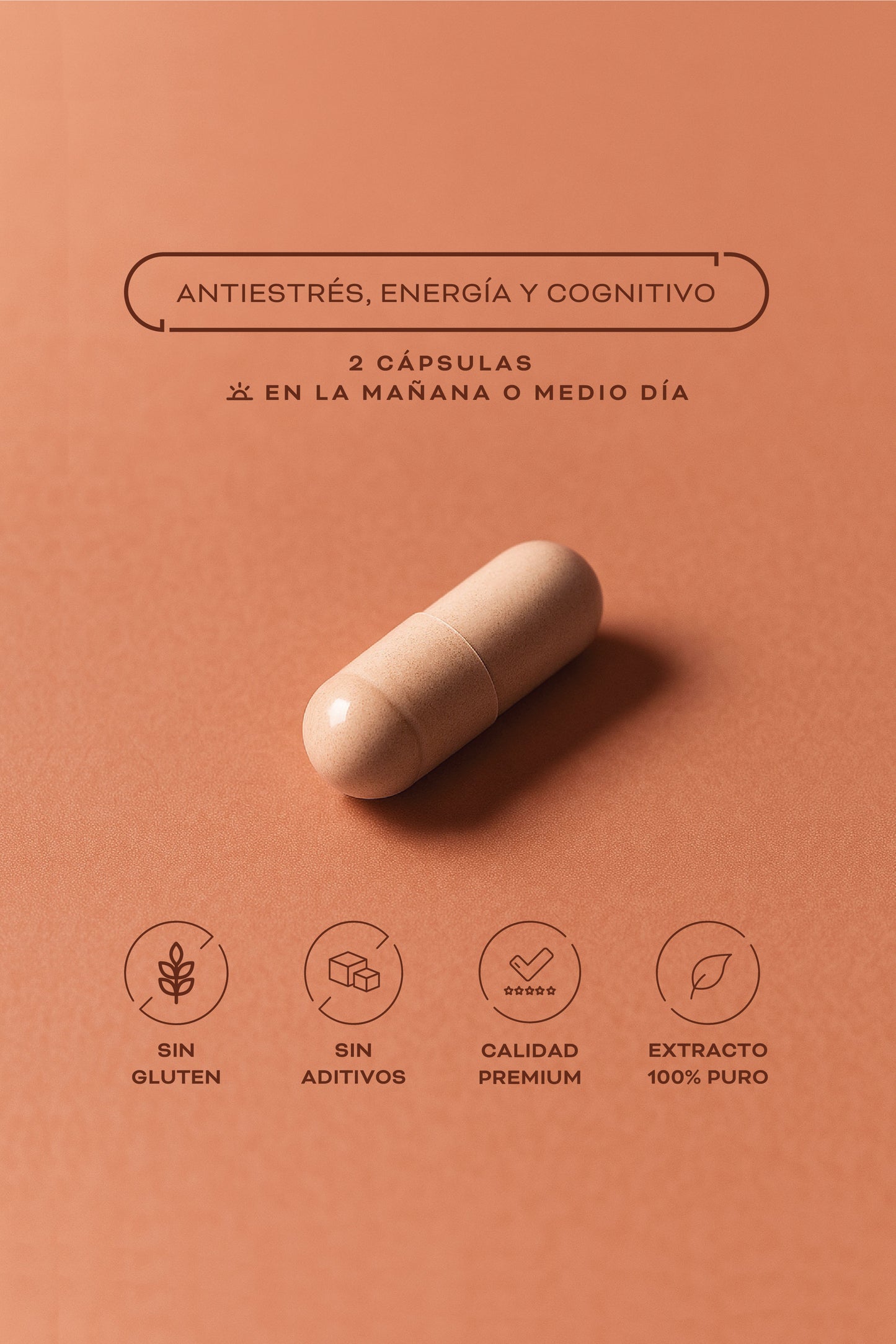 Rhodiola Rosea Extracto