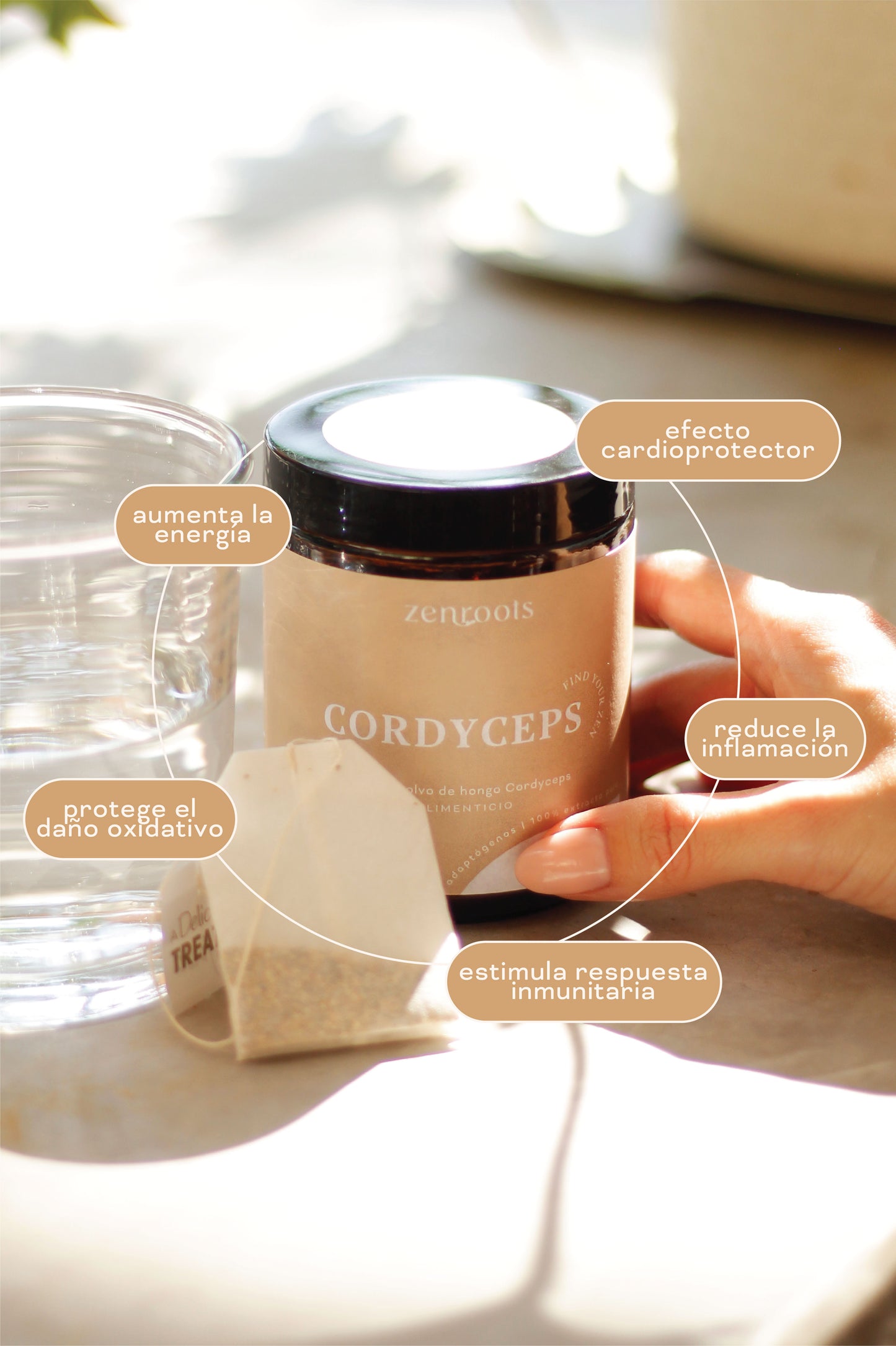 Cordyceps Extracto