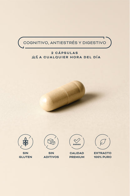 Lion's Mane Extracto